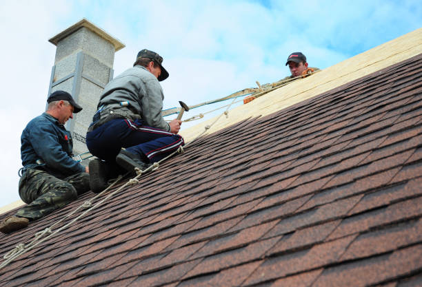 Best Roof Maintenance Services  in Callaway, MD