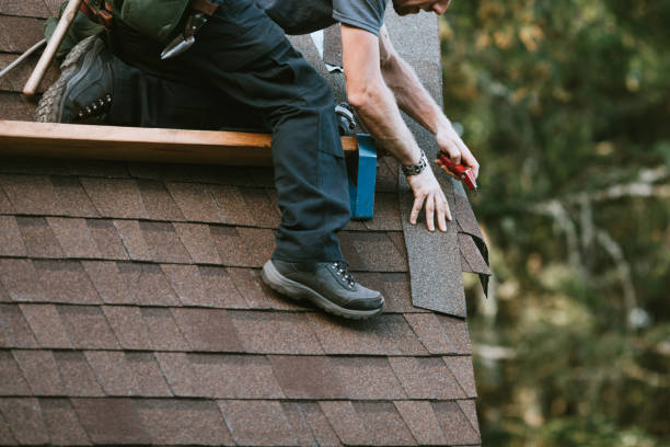 Roof Gutter Cleaning in Callaway, MD